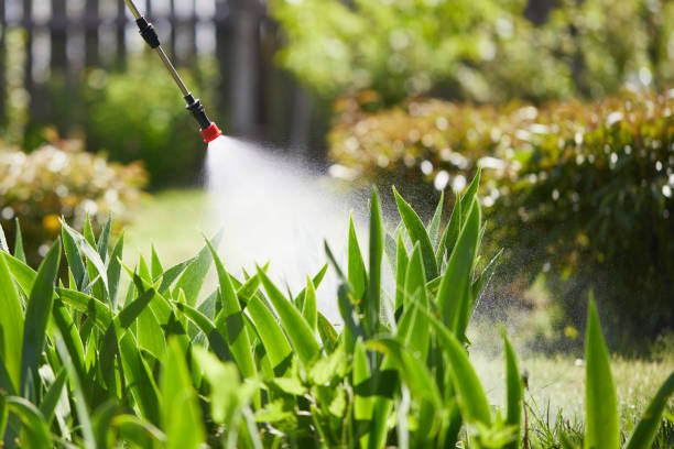 24/7 Emergency Mosquito Control experts in North Middletown, NJ