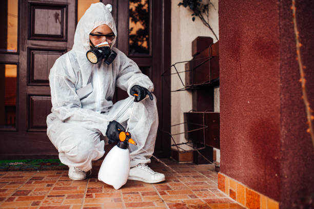 Reliable Mosquito Control contractor in North Middletown, NJ by Show Me Pest Control